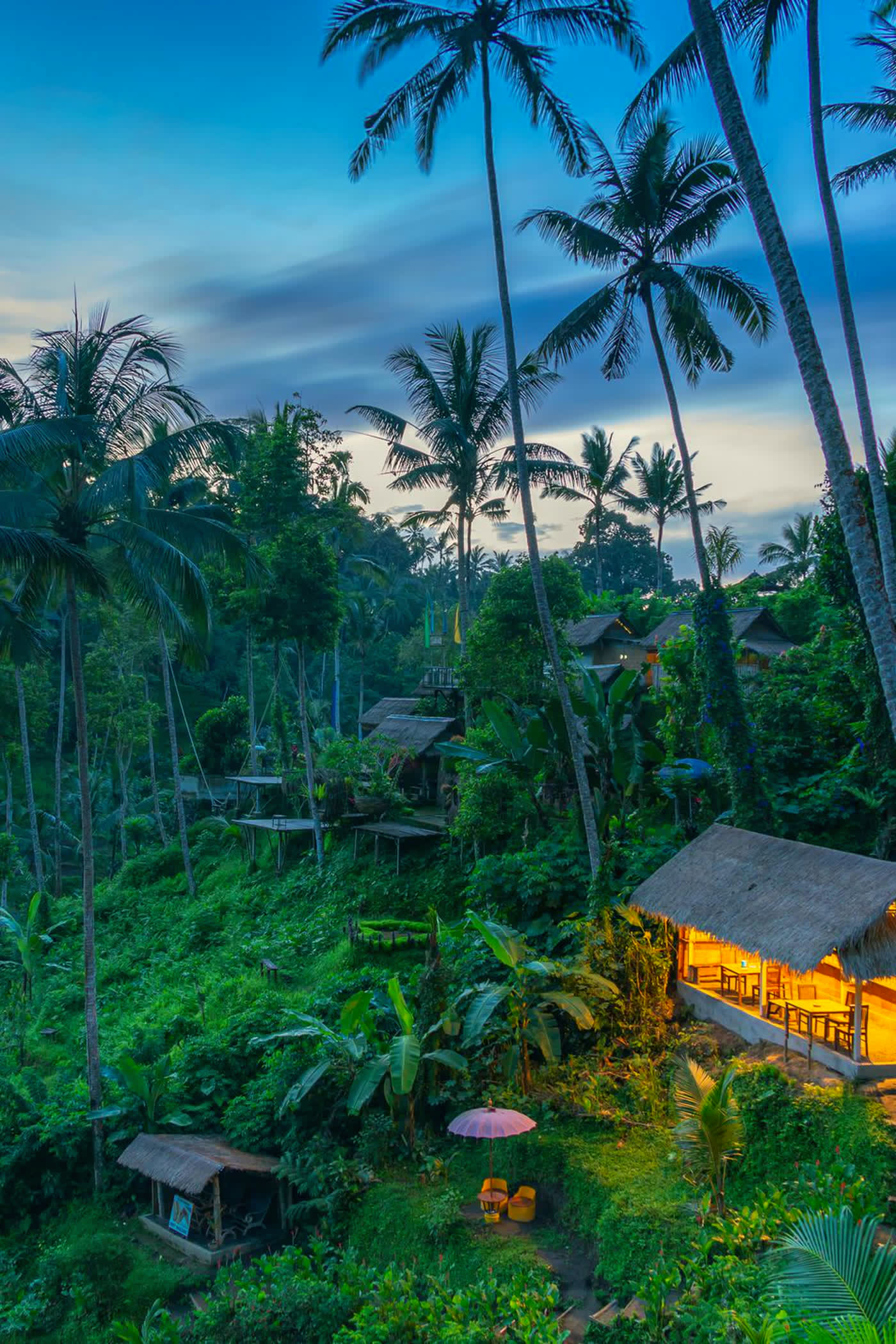 Jungle lodges lit at dusk on a palm-covered hillside