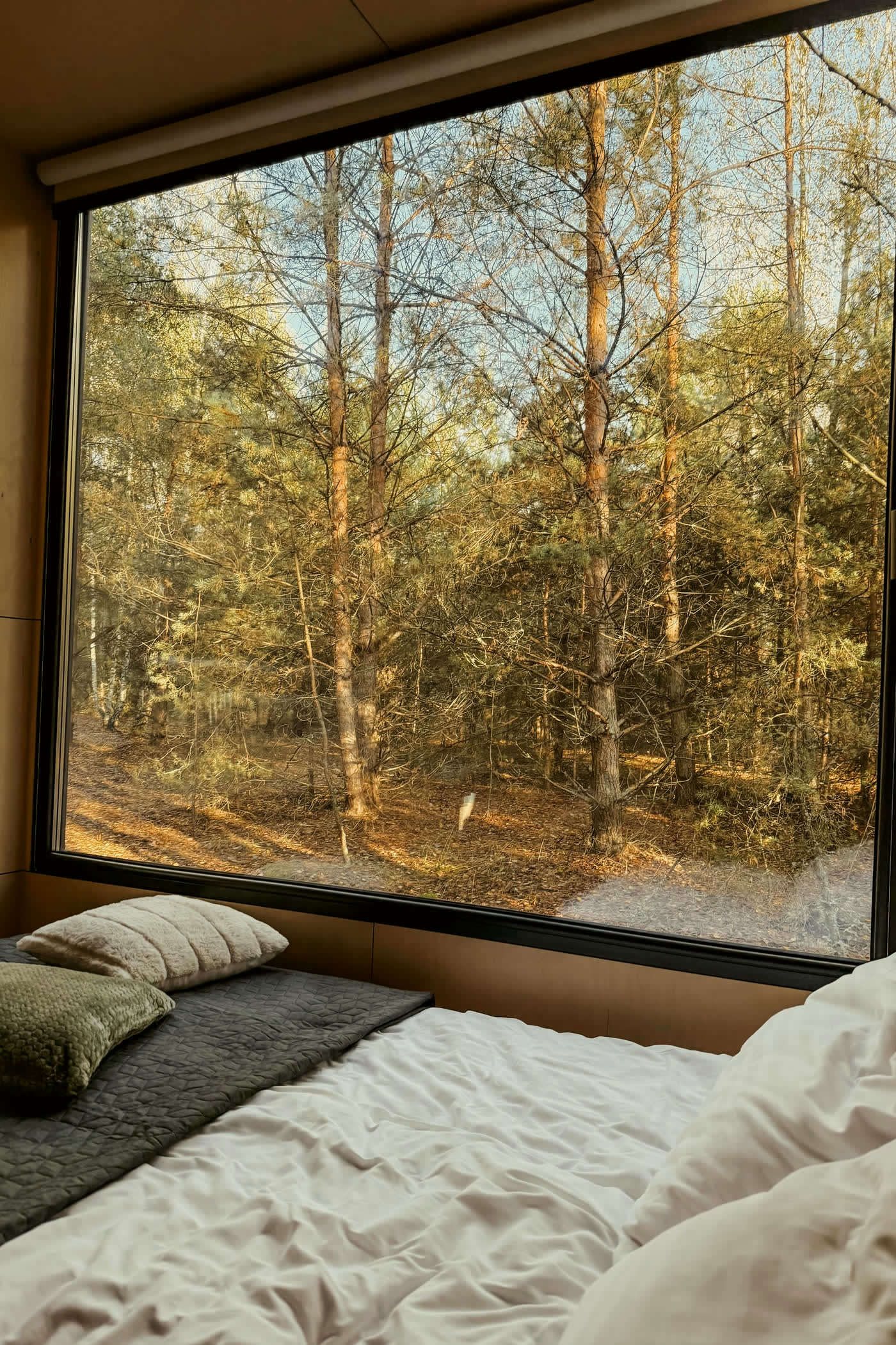 Bed beside a full-height window onto an autumn forest